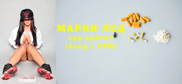 ГАЛЛЮЦИНОГЕННЫЕ ГРИБЫ Магас