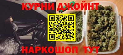 шишки Бийск