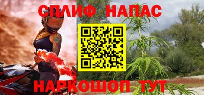 шишки Бийск