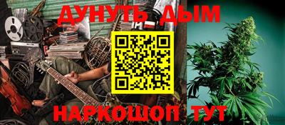 шишки Бийск