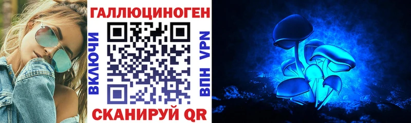 Галлюциногенные грибы Psilocybine cubensis  Губкин 