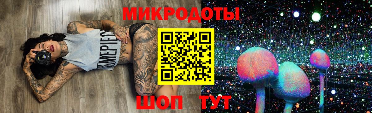 Псилоцибиновые грибы Psilocybine cubensis  Губкин 