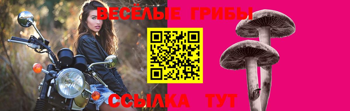 Губкин  Псилоцибиновые грибы мицелий  Вход с VPN  Галлюциногенные грибы прущие грибы 