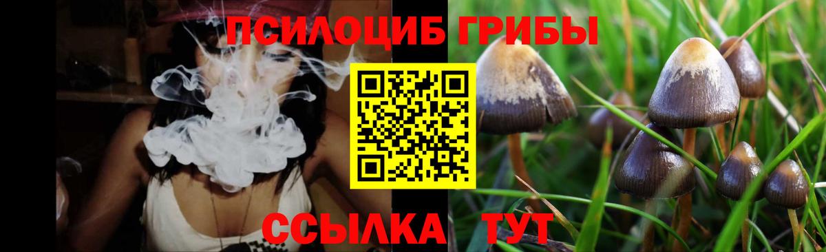 Псилоцибиновые грибы Psilocybine cubensis Губкин