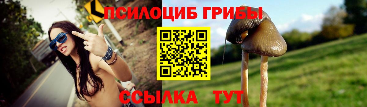 Галлюциногенные грибы MAGIC MUSHROOMS Губкин
